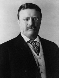 Baixar Works of theodore roosevelt: 13 books pdf, epub, eBook