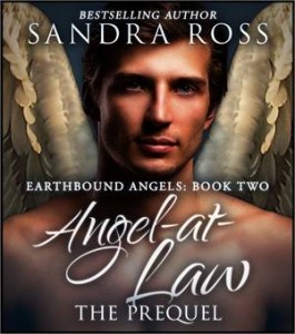 Baixar Angel-at-law, the prequel: earthbound angels 2 pdf, epub, eBook