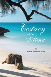 Baixar Ecstacy of the atma pdf, epub, eBook