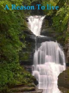 Baixar Reason to live, a pdf, epub, eBook