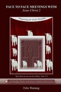 Baixar Face to face meetings with jesus christ 2: pdf, epub, eBook