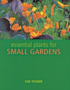 Baixar Essential plants for small gardens pdf, epub, eBook