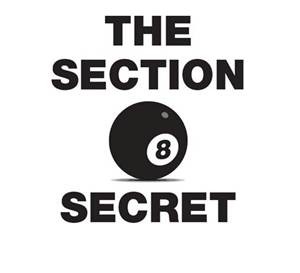 Baixar Section 8 secrets pdf, epub, eBook