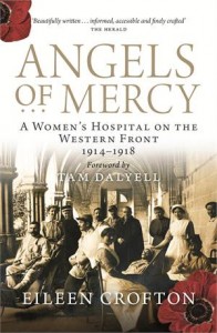 Baixar Angels of mercy pdf, epub, eBook