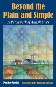 Baixar Beyond the plain and simple pdf, epub, eBook