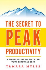Baixar Secret to peak productivity, the pdf, epub, eBook