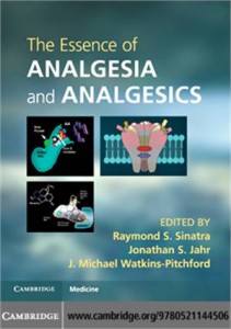 Baixar Essence of analgesia and analgesics, the pdf, epub, eBook