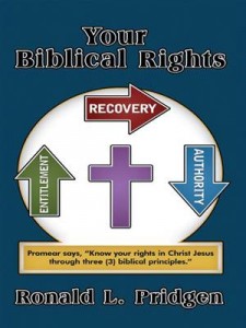Baixar Your biblical rights pdf, epub, eBook