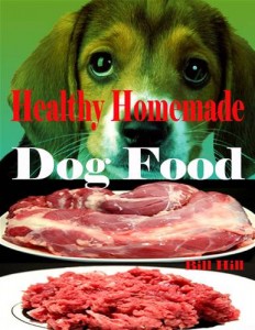 Baixar Healthy homemade dog food pdf, epub, eBook