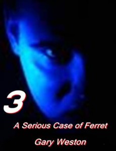 Baixar Serious case of ferret, a pdf, epub, eBook
