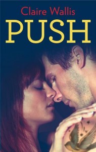 Baixar Push pdf, epub, eBook