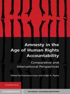 Baixar Amnesty in the age of human rights accountability pdf, epub, eBook