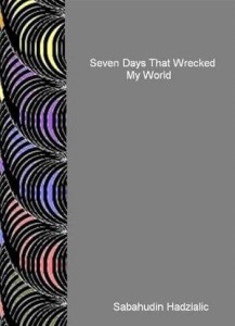 Baixar Seven days that wrecked my world pdf, epub, eBook