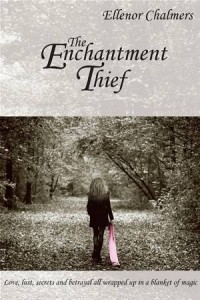 Baixar Enchantment thief, the pdf, epub, eBook