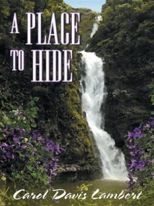 Baixar Place to hide, a pdf, epub, eBook