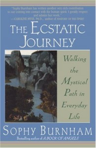 Baixar Ecstatic journey, the pdf, epub, eBook