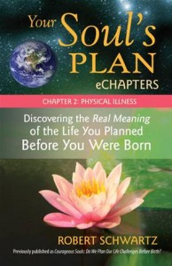 Baixar Your soul’s plan echapters – chapter 2: physical pdf, epub, eBook