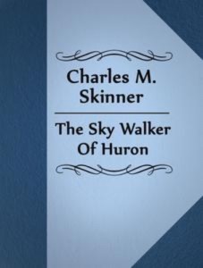 Baixar Sky walker of huron, the pdf, epub, eBook