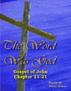 Baixar Word was god: gospel of john chapter 11-21, the pdf, epub, eBook