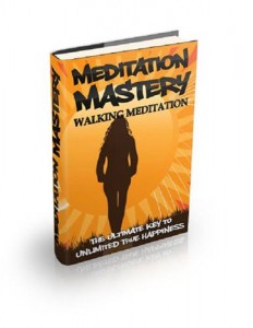 Baixar Walking meditation pdf, epub, eBook