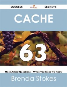 Baixar Cache 63 success secrets – 63 most asked pdf, epub, eBook