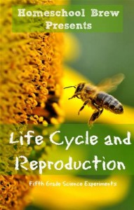 Baixar Life cycle and reproduction pdf, epub, eBook