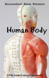 Baixar Human body pdf, epub, eBook