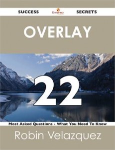 Baixar Overlay 22 success secrets – 22 most asked pdf, epub, eBook