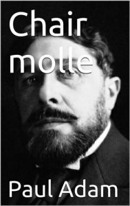 Baixar Chair molle pdf, epub, eBook