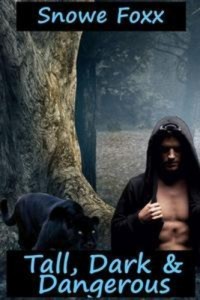 Baixar Tall, dark & dangerous pdf, epub, eBook