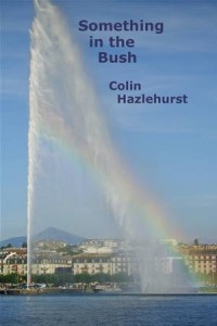 Baixar Something in the bush pdf, epub, eBook