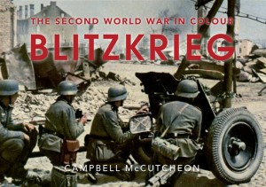 Baixar Blitzkrieg pdf, epub, eBook