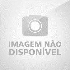 Baixar Personal Identity pdf, epub, eBook