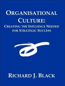 Baixar Organisational Culture: Creating the influence needed for strategic success pdf, epub, eBook