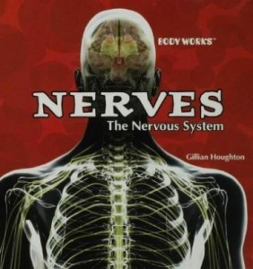 Baixar Nerves: The Nervous System pdf, epub, eBook