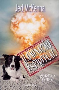 Baixar Iluminacao espiritual – dureza pura! pdf, epub, eBook