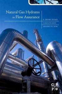 Baixar Natural gas hydrates in flow assurance pdf, epub, eBook