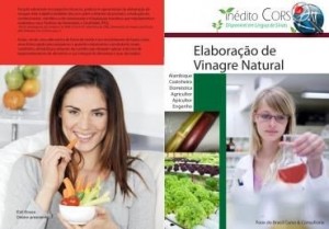 Baixar Inedito Curso Elaboração de vinagre natural pdf, epub, eBook
