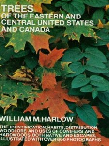 Baixar Trees of the eastern and central united states pdf, epub, eBook