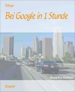 Baixar Bei google in 1 stunde pdf, epub, eBook