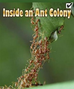 Baixar Inside an ant colony pdf, epub, eBook