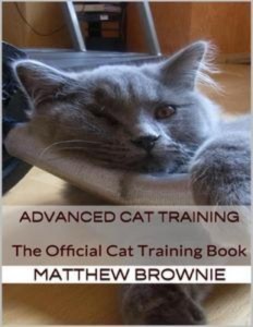 Baixar Advanced cat training: the official cat training pdf, epub, eBook