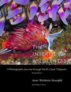 Baixar The Intertidal Wilderness: A Photographic Journey through Pacific Coast Tidepools pdf, epub, eBook