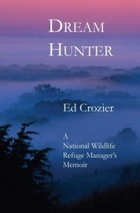 Baixar Dream Hunter pdf, epub, eBook