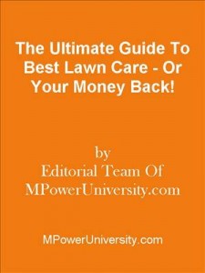 Baixar Ultimate guide to best lawn care – or your pdf, epub, eBook