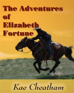 Baixar Adventures of elizabeth fortune, the pdf, epub, eBook