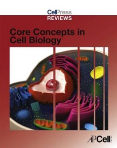 Baixar Cell press reviews: core concepts in cell biology pdf, epub, eBook