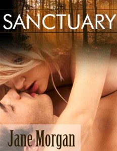 Baixar Sanctuary (couple erotica) pdf, epub, eBook