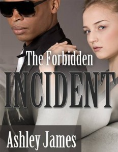 Baixar Forbidden incident (couple erotica), the pdf, epub, eBook