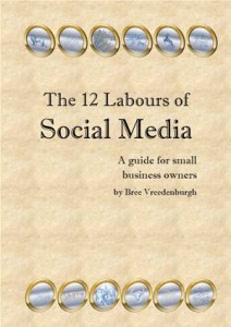 Baixar 12 labours of social media, the pdf, epub, eBook